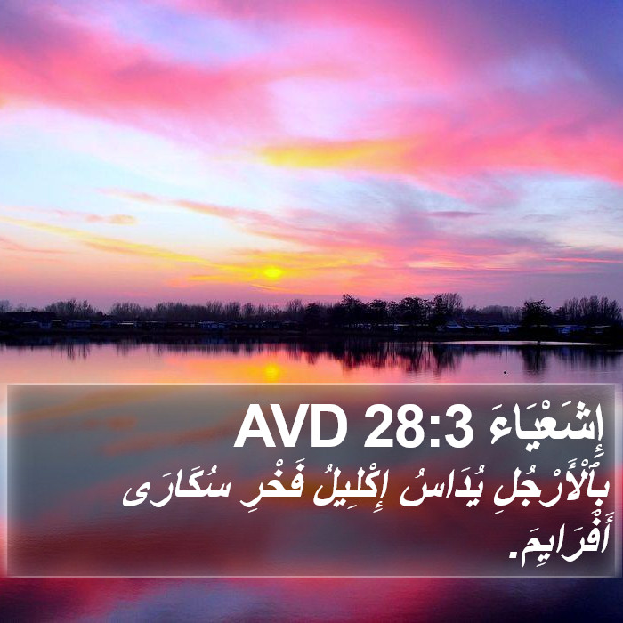 إِشَعْيَاءَ 28:3 AVD Bible Study