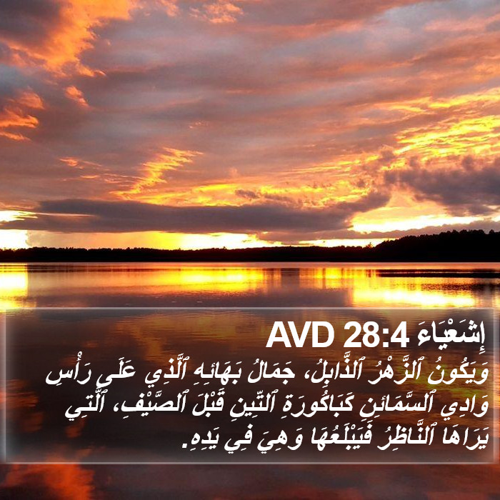 إِشَعْيَاءَ 28:4 AVD Bible Study