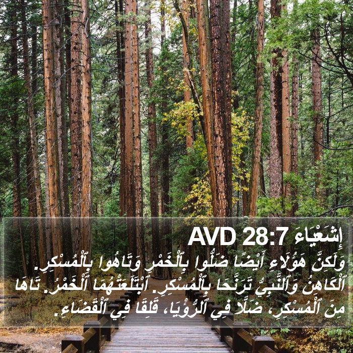 إِشَعْيَاءَ 28:7 AVD Bible Study