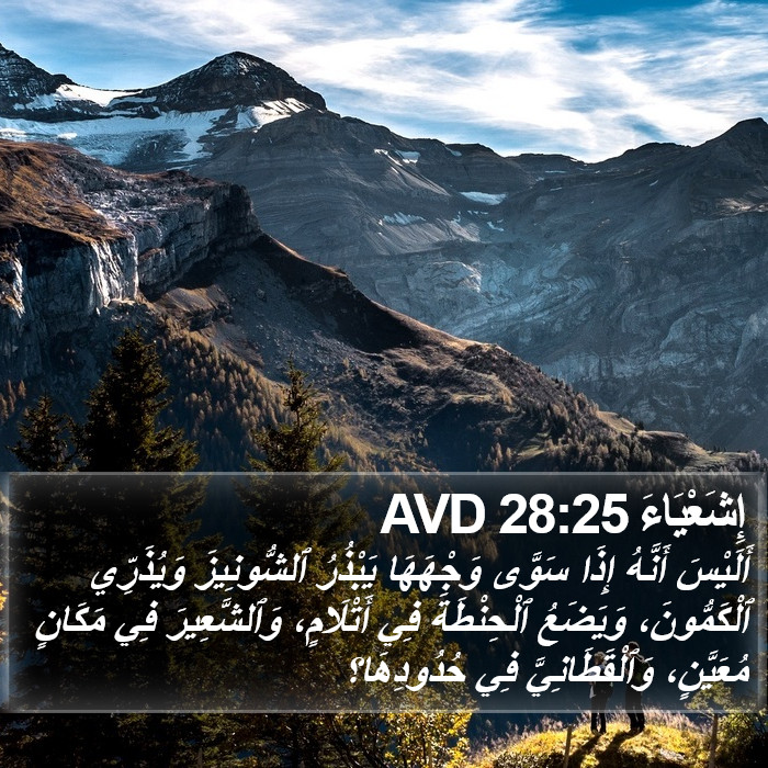 إِشَعْيَاءَ 28:25 AVD Bible Study