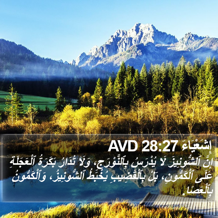 إِشَعْيَاءَ 28:27 AVD Bible Study