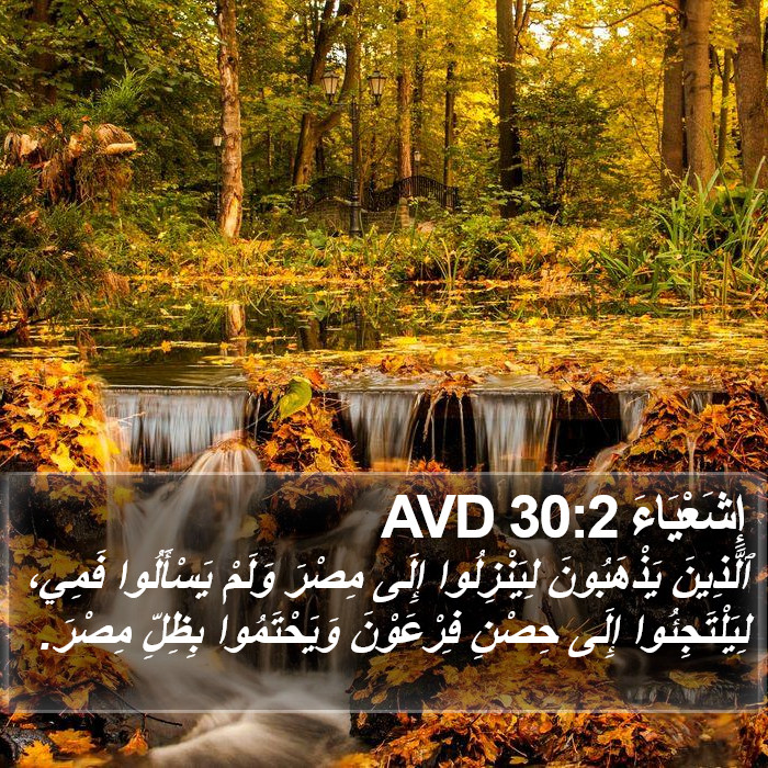 إِشَعْيَاءَ 30:2 AVD Bible Study