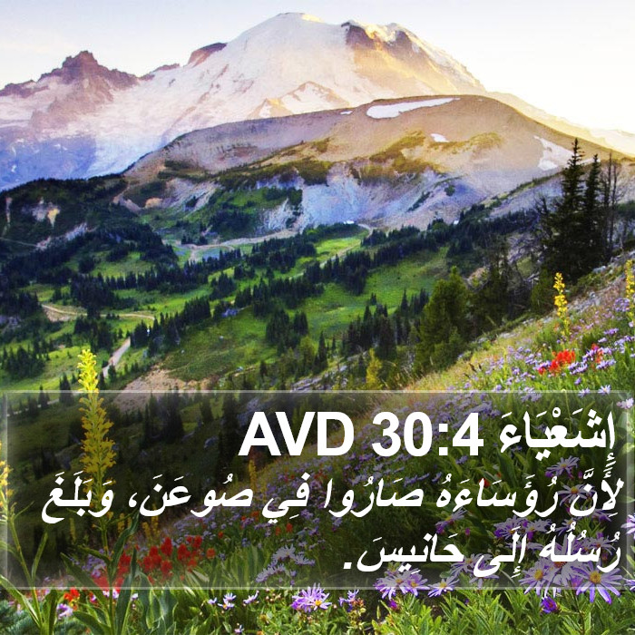 إِشَعْيَاءَ 30:4 AVD Bible Study