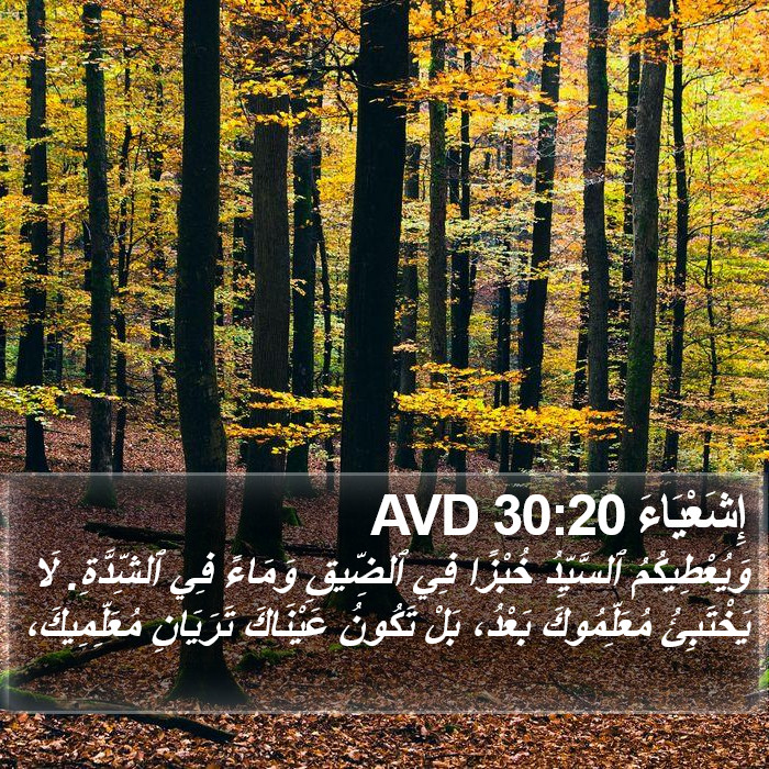 إِشَعْيَاءَ 30:20 AVD Bible Study