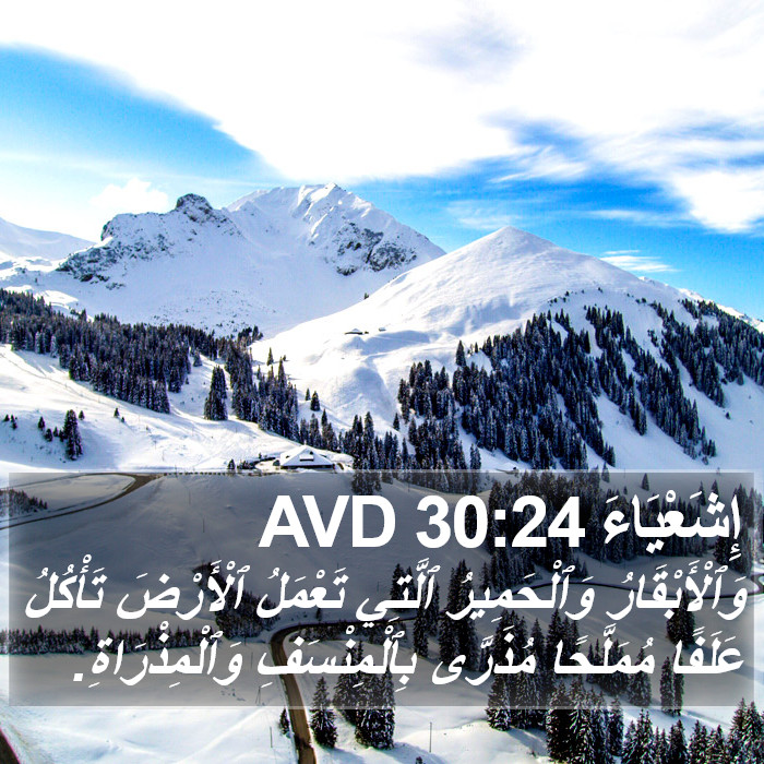 إِشَعْيَاءَ 30:24 AVD Bible Study