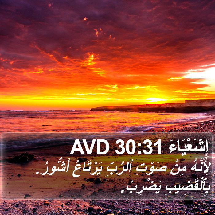 إِشَعْيَاءَ 30:31 AVD Bible Study