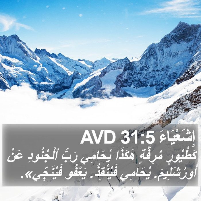 إِشَعْيَاءَ 31:5 AVD Bible Study