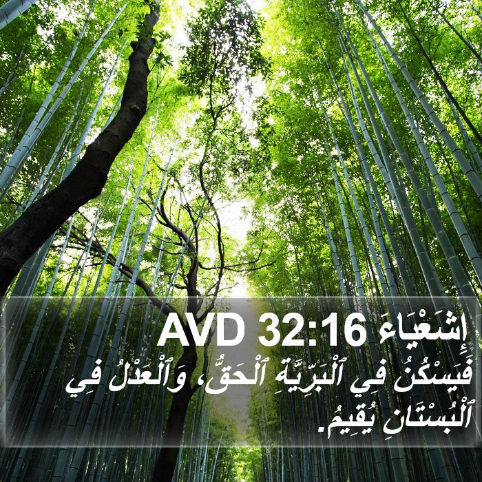 إِشَعْيَاءَ 32:16 AVD Bible Study