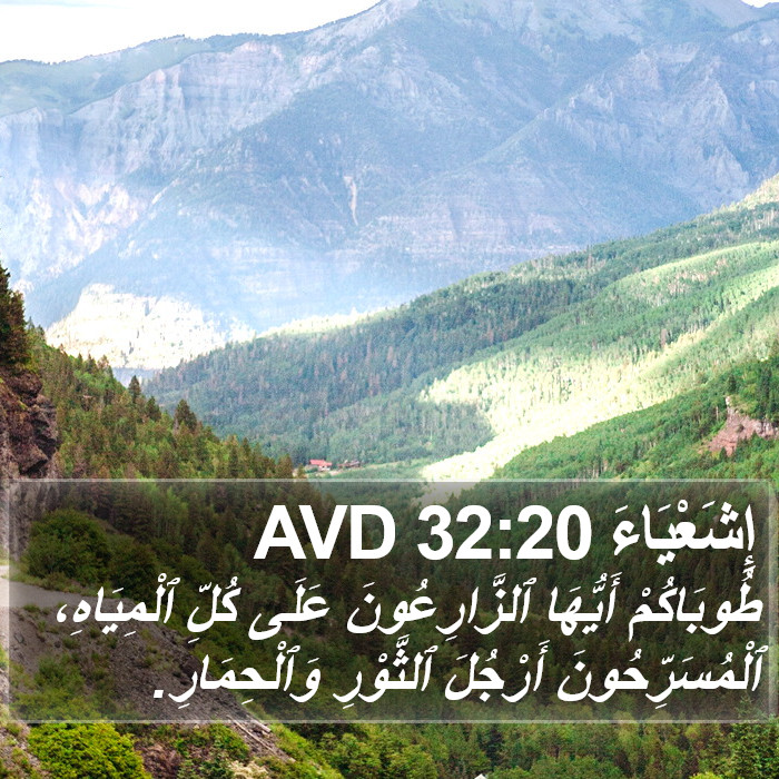 إِشَعْيَاءَ 32:20 AVD Bible Study