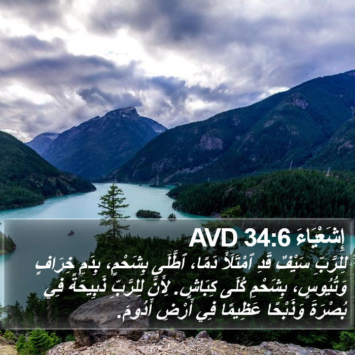 إِشَعْيَاءَ 34:6 AVD Bible Study