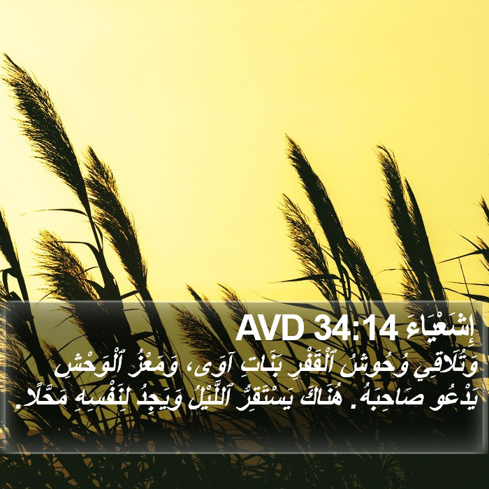 إِشَعْيَاءَ 34:14 AVD Bible Study