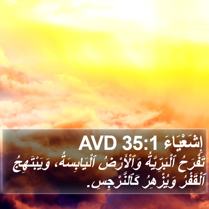 إِشَعْيَاءَ 35:1 AVD Bible Study