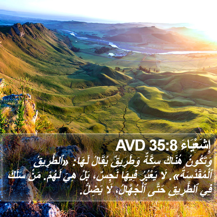 إِشَعْيَاءَ 35:8 AVD Bible Study