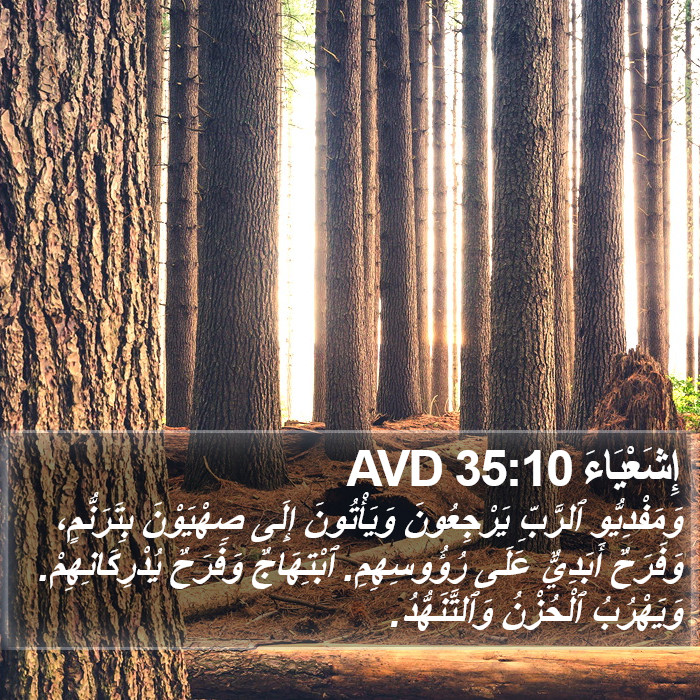 إِشَعْيَاءَ 35:10 AVD Bible Study