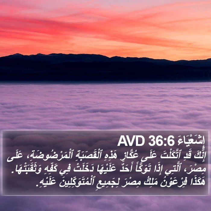 إِشَعْيَاءَ 36:6 AVD Bible Study