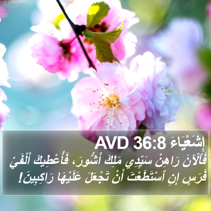 إِشَعْيَاءَ 36:8 AVD Bible Study