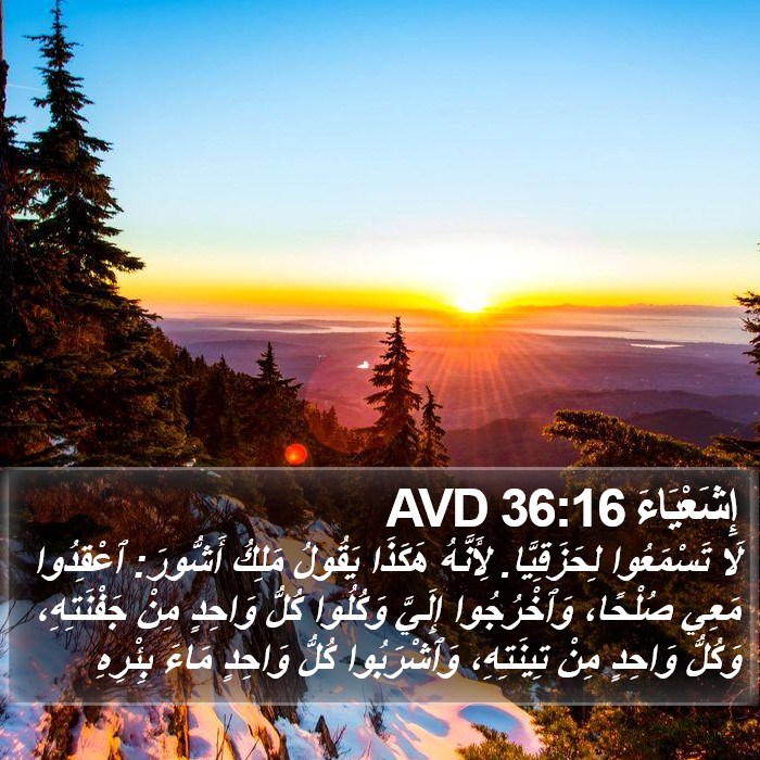 إِشَعْيَاءَ 36:16 AVD Bible Study