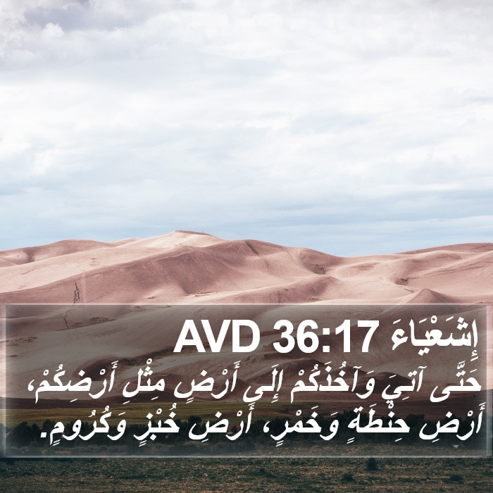 إِشَعْيَاءَ 36:17 AVD Bible Study