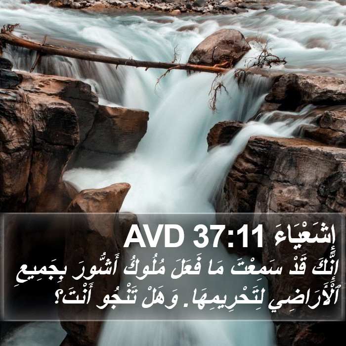 إِشَعْيَاءَ 37:11 AVD Bible Study