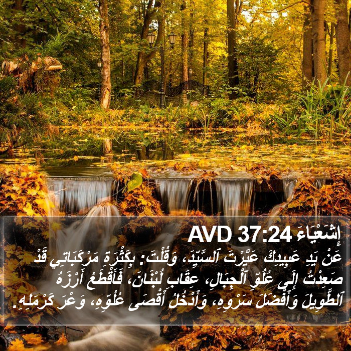 إِشَعْيَاءَ 37:24 AVD Bible Study