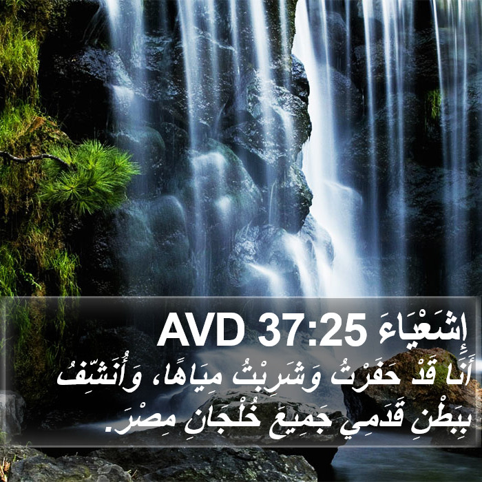 إِشَعْيَاءَ 37:25 AVD Bible Study