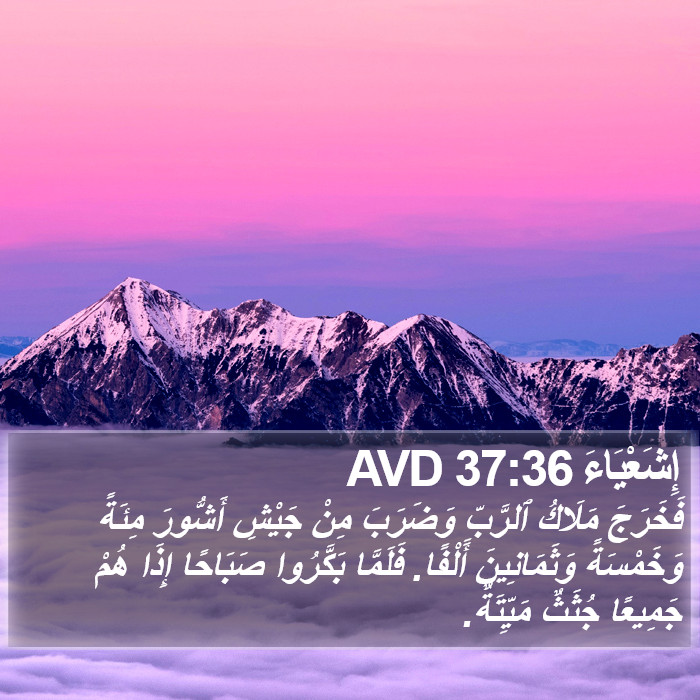 إِشَعْيَاءَ 37:36 AVD Bible Study