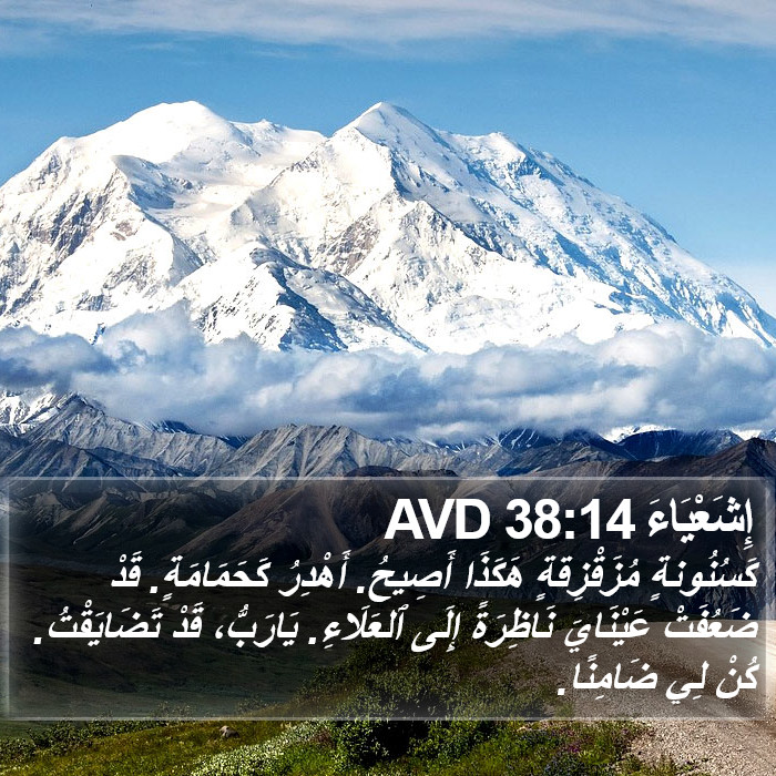 إِشَعْيَاءَ 38:14 AVD Bible Study