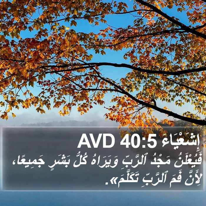 إِشَعْيَاءَ 40:5 AVD Bible Study
