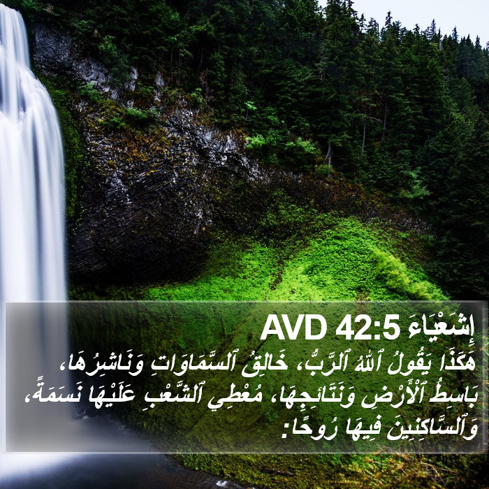 إِشَعْيَاءَ 42:5 AVD Bible Study