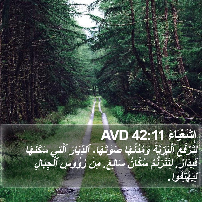 إِشَعْيَاءَ 42:11 AVD Bible Study