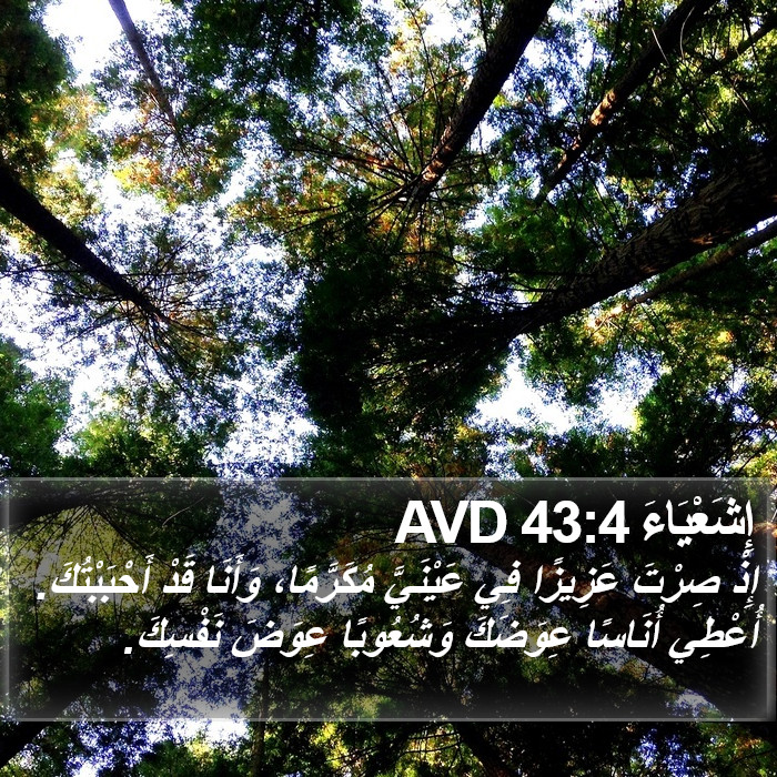 إِشَعْيَاءَ 43:4 AVD Bible Study