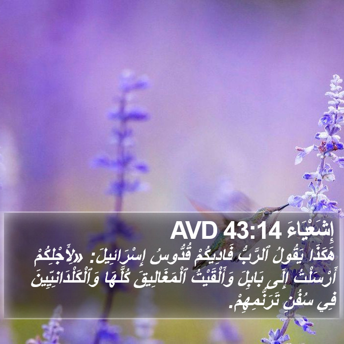 إِشَعْيَاءَ 43:14 AVD Bible Study