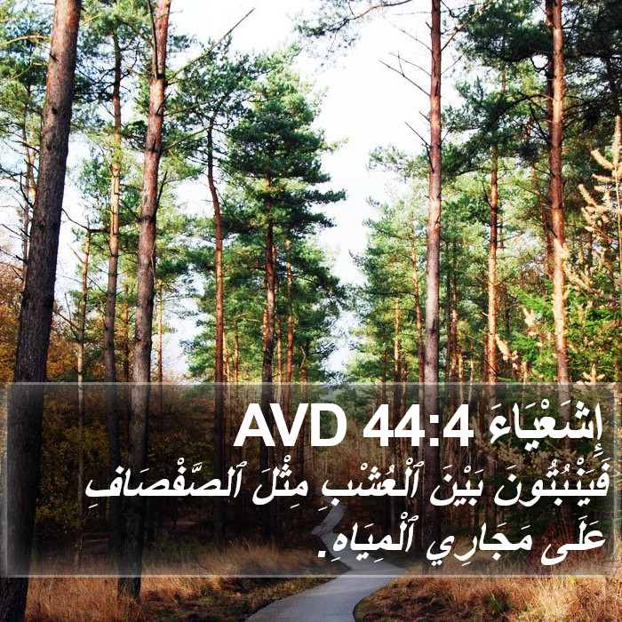 إِشَعْيَاءَ 44:4 AVD Bible Study