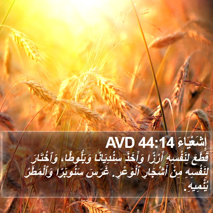 إِشَعْيَاءَ 44:14 AVD Bible Study