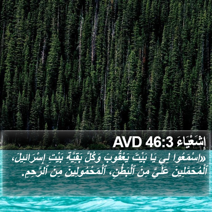 إِشَعْيَاءَ 46:3 AVD Bible Study