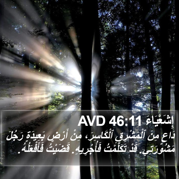 إِشَعْيَاءَ 46:11 AVD Bible Study