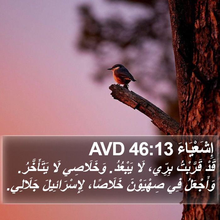 إِشَعْيَاءَ 46:13 AVD Bible Study