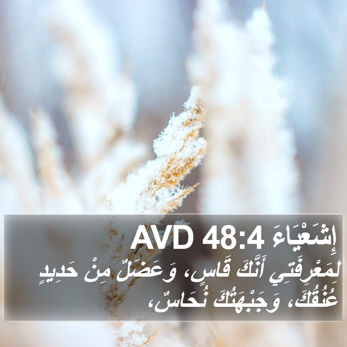 إِشَعْيَاءَ 48:4 AVD Bible Study