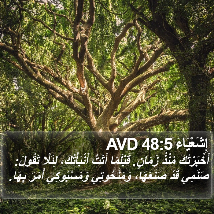 إِشَعْيَاءَ 48:5 AVD Bible Study