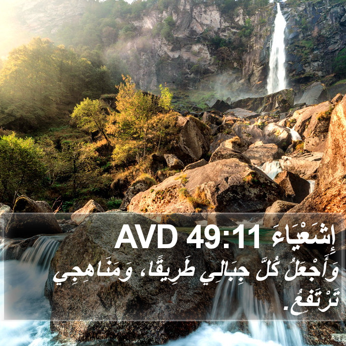 إِشَعْيَاءَ 49:11 AVD Bible Study