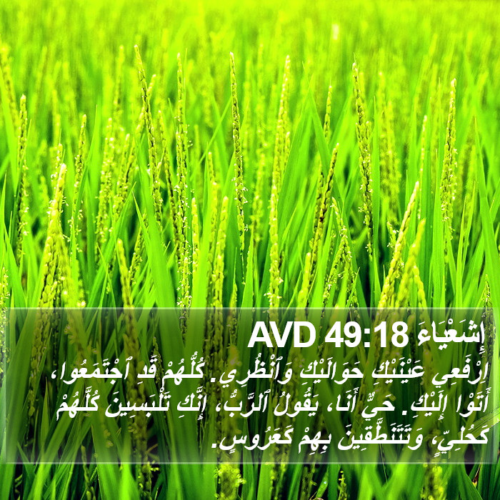 إِشَعْيَاءَ 49:18 AVD Bible Study