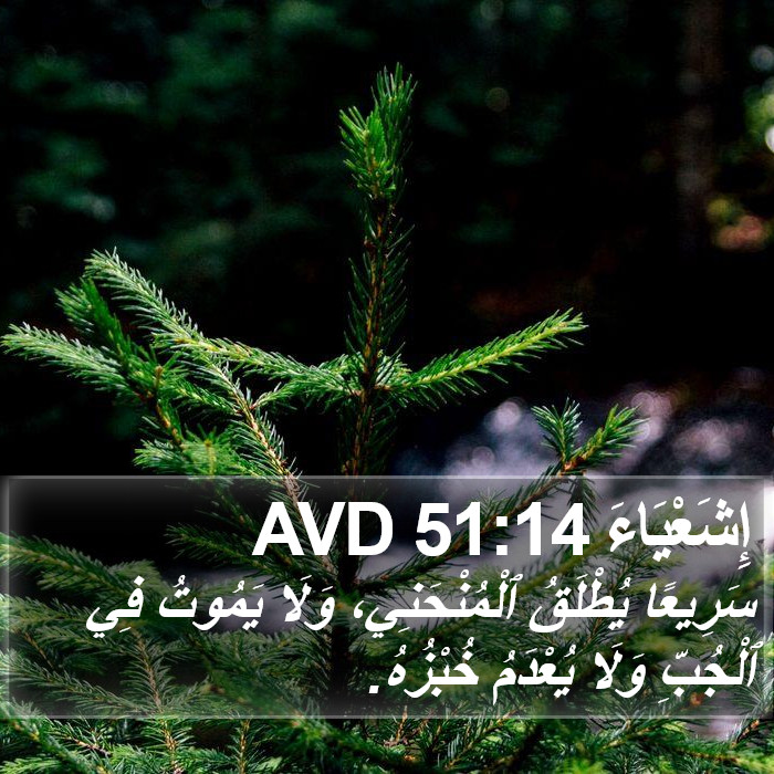 إِشَعْيَاءَ 51:14 AVD Bible Study