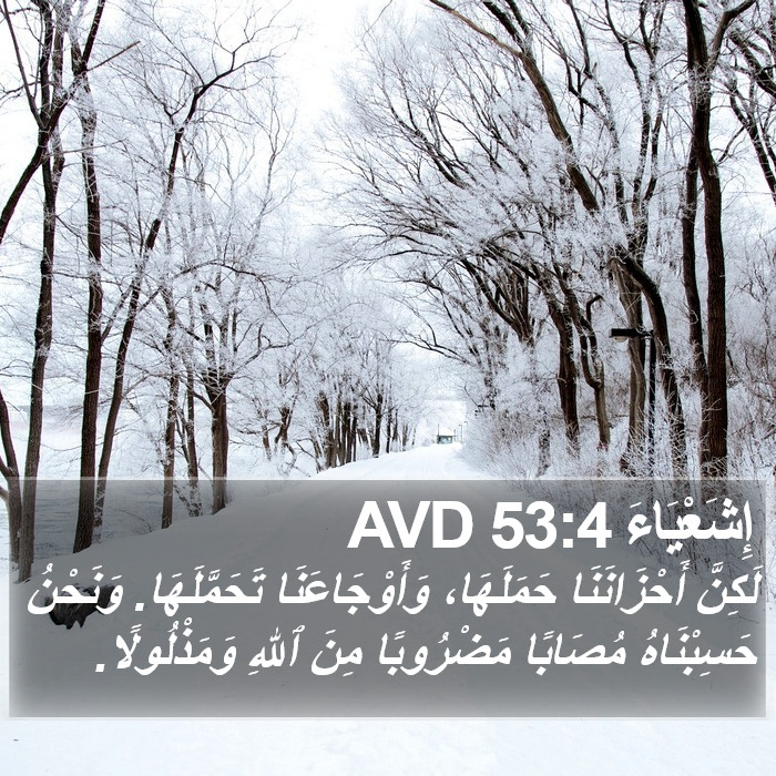 إِشَعْيَاءَ 53:4 AVD Bible Study