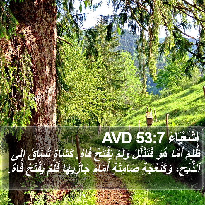 إِشَعْيَاءَ 53:7 AVD Bible Study