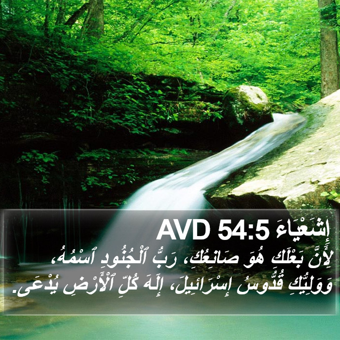 إِشَعْيَاءَ 54:5 AVD Bible Study