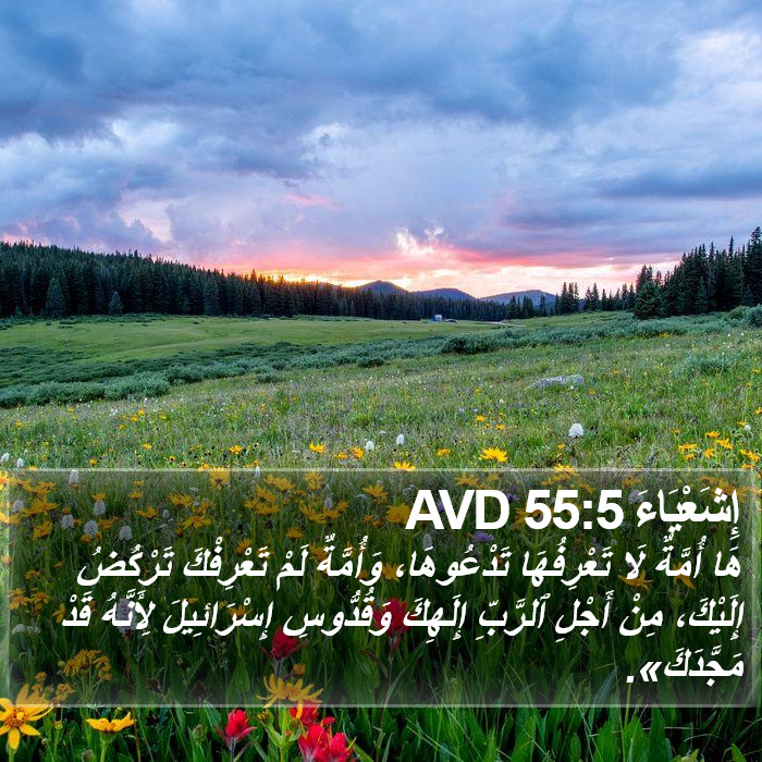 إِشَعْيَاءَ 55:5 AVD Bible Study