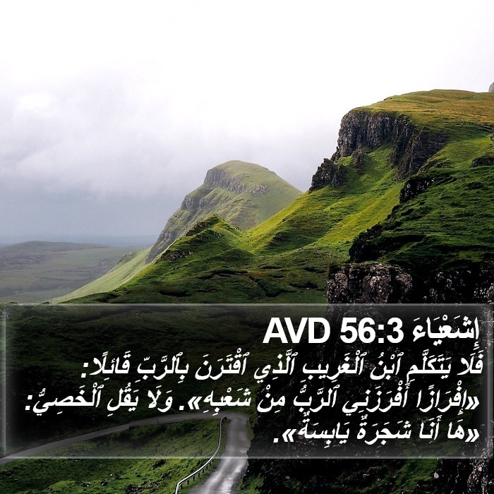 إِشَعْيَاءَ 56:3 AVD Bible Study