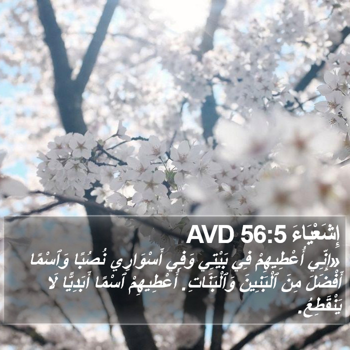 إِشَعْيَاءَ 56:5 AVD Bible Study