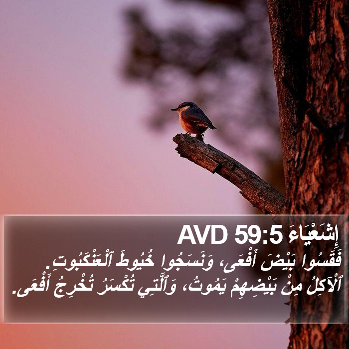 إِشَعْيَاءَ 59:5 AVD Bible Study