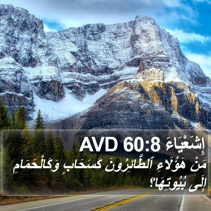 إِشَعْيَاءَ 60:8 AVD Bible Study